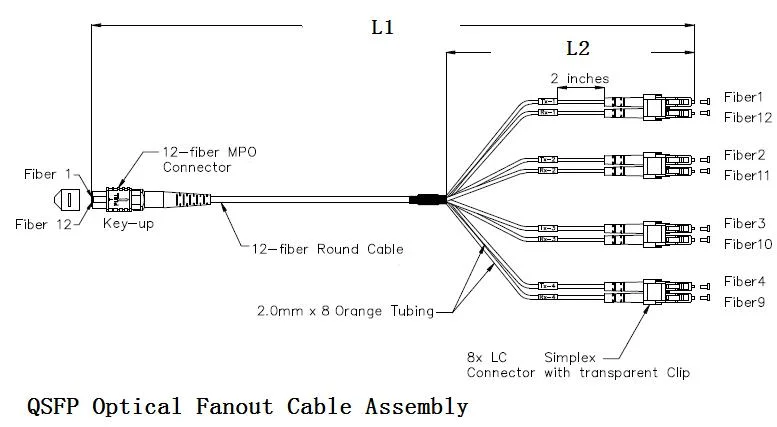 MPO Harness & Fan out Cable Assemblies